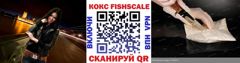 КОКАИН FishScale  Купить закладки  Питкяранта 